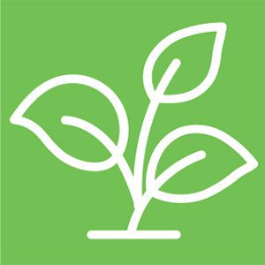Green-Leaf