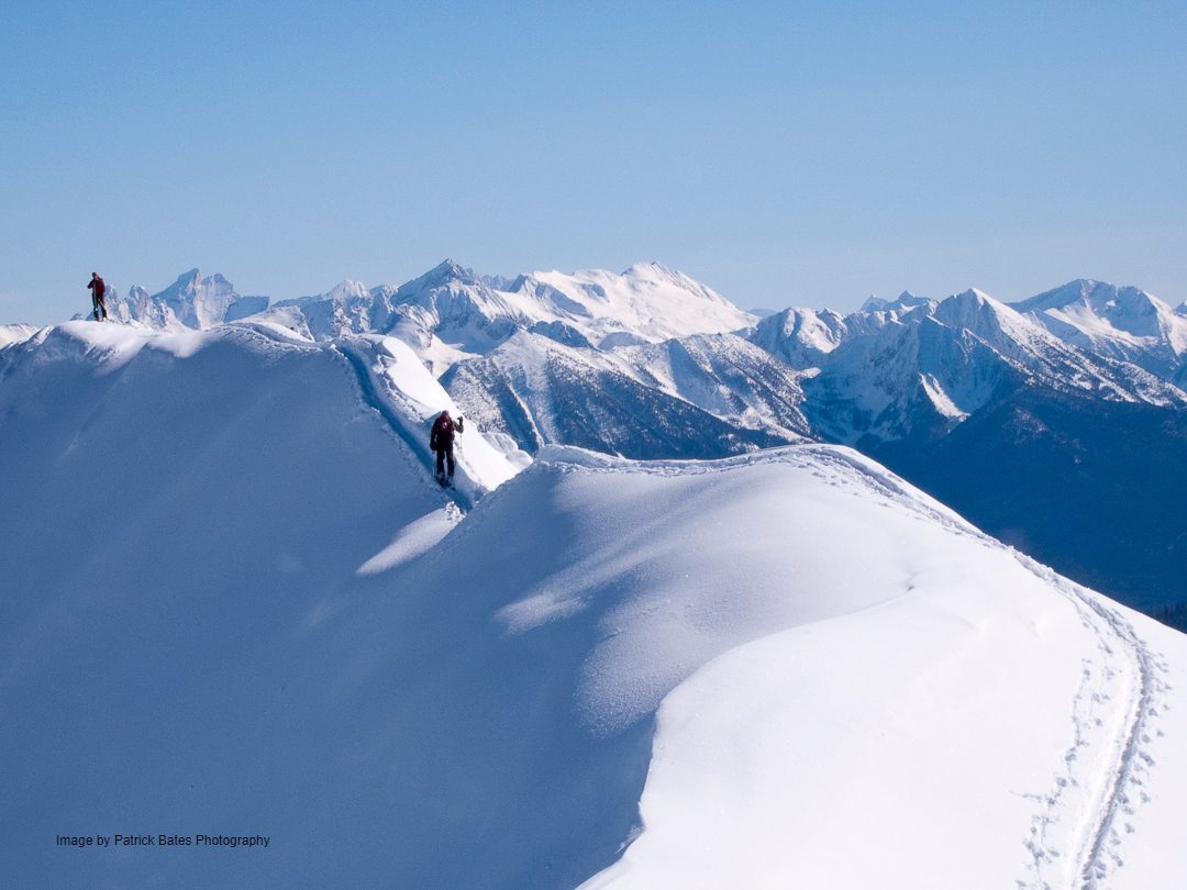 Image by Patrick Bates Photography